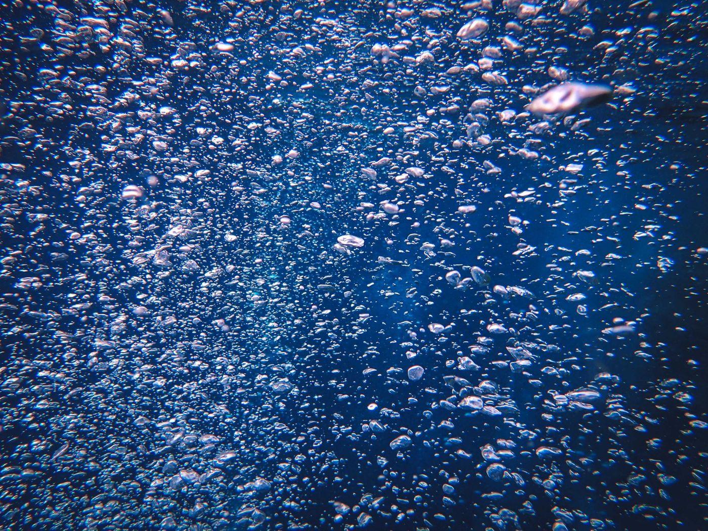 A dense column of fine bubbles rising through dark water