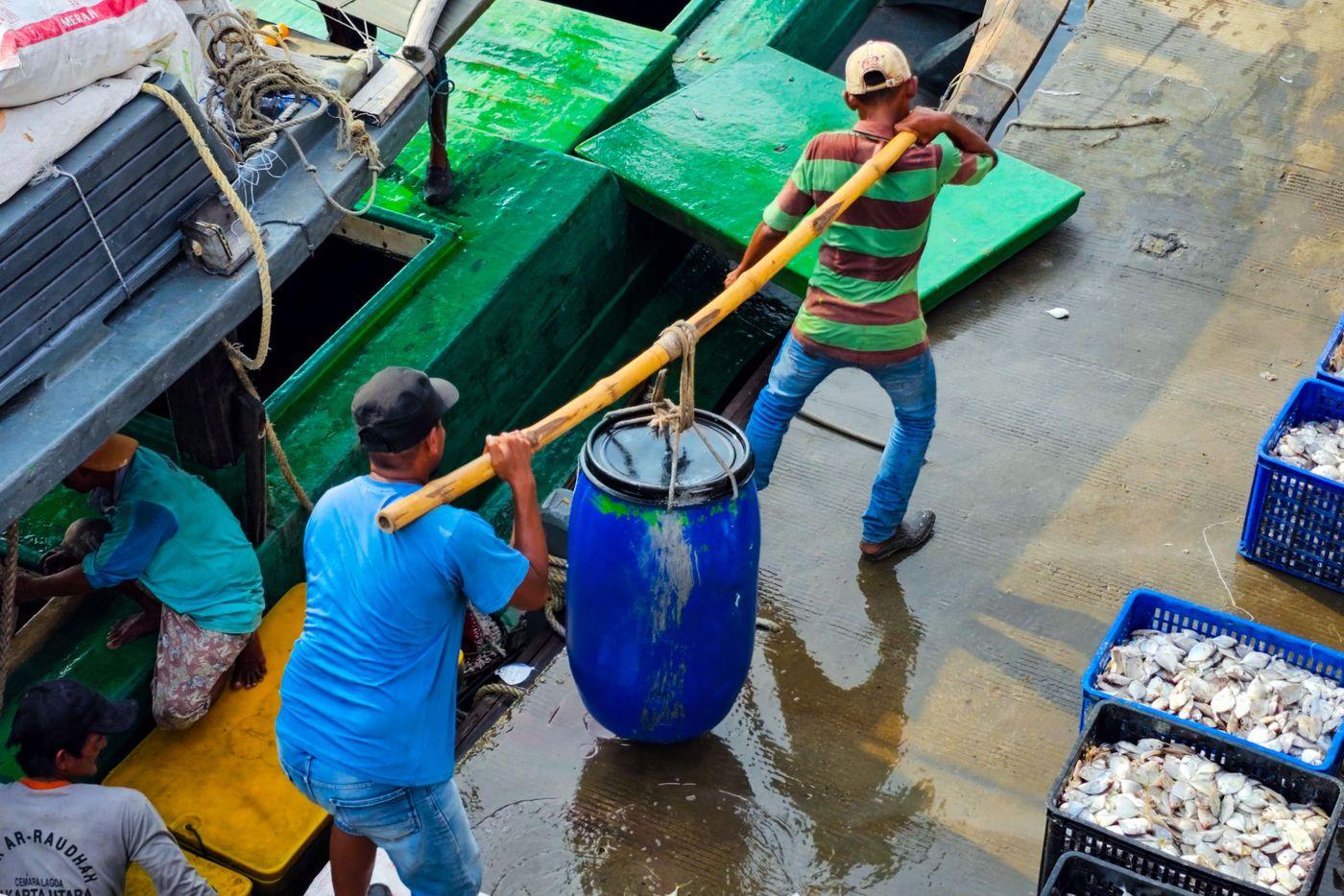 Fishermen transferring their catch into crates at a working harbour